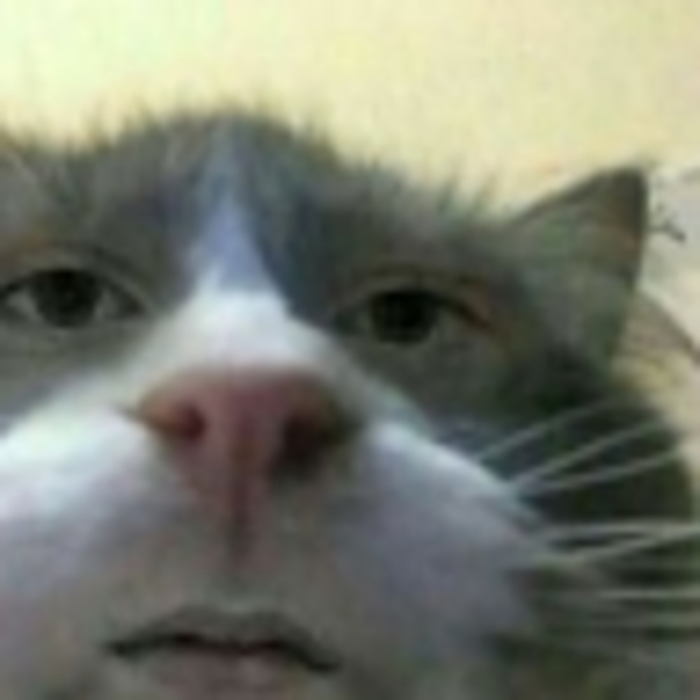 Meet your Posher, Leslie